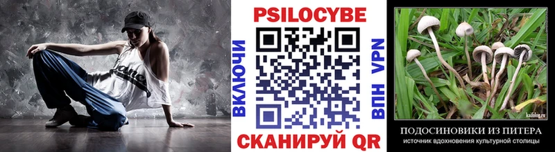 Галлюциногенные грибы ЛСД  блэк спрут ссылки  Александровск-Сахалинский  дарнет шоп 